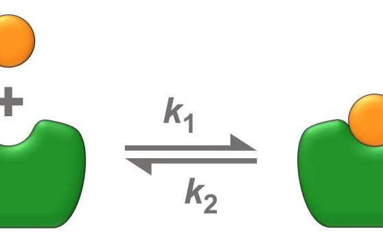 Analyzing kinetic binding data